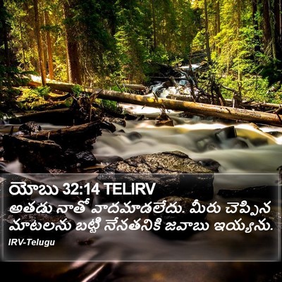 యోబు 32:14 TELIRV Bible Verse Image