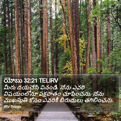 యోబు 32:21 TELIRV Bible Verse Image