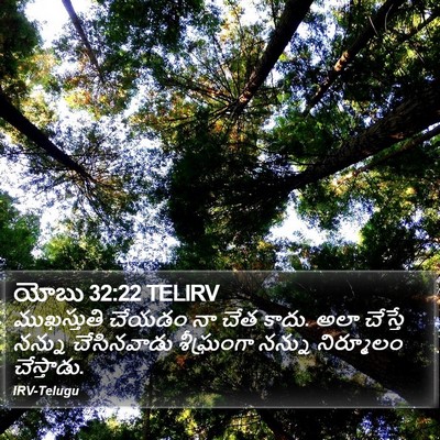 యోబు 32:22 TELIRV Bible Verse Image