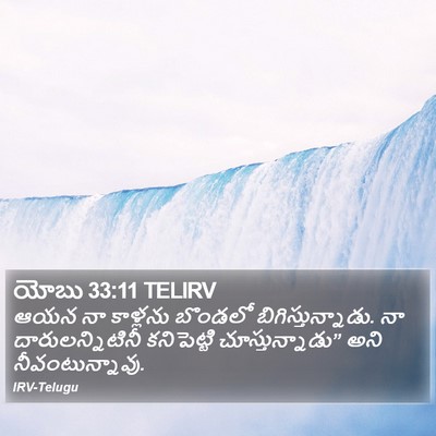 యోబు 33:11 TELIRV Bible Verse Image