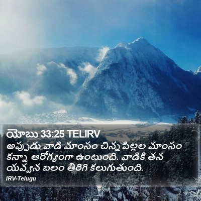 యోబు 33:25 TELIRV Bible Verse Image