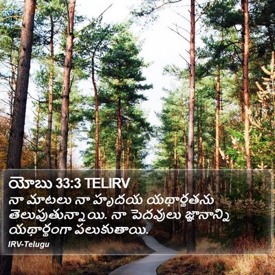 యోబు 33:3 TELIRV Bible Verse Image