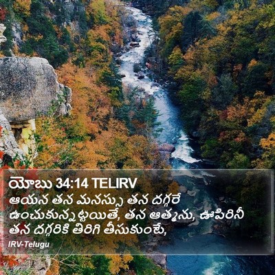 యోబు 34:14 TELIRV Bible Verse Image