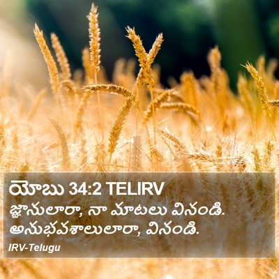 యోబు 34:2 TELIRV Bible Verse Image