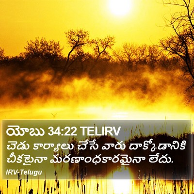 యోబు 34:22 TELIRV Bible Verse Image