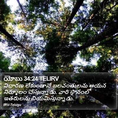 యోబు 34:24 TELIRV Bible Verse Image