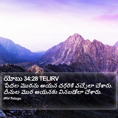 యోబు 34:28 TELIRV Bible Verse Image