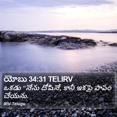 యోబు 34:31 TELIRV Bible Verse Image