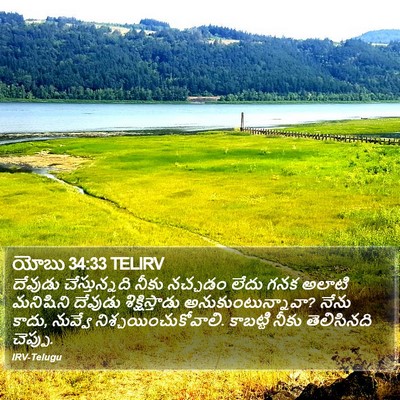 యోబు 34:33 TELIRV Bible Verse Image