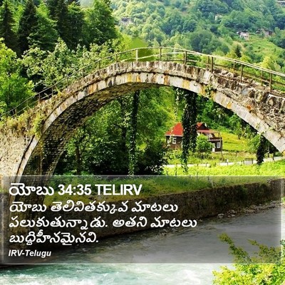యోబు 34:35 TELIRV Bible Verse Image