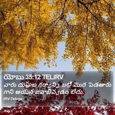 యోబు 35:12 TELIRV Bible Verse Image