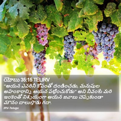 యోబు 35:15 TELIRV Bible Verse Image