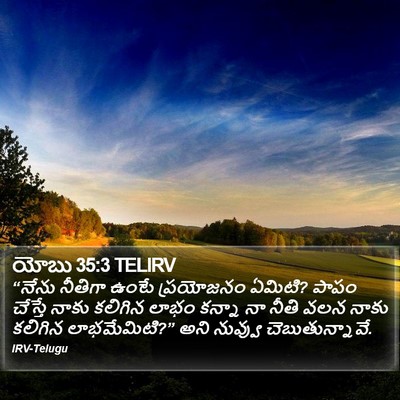 యోబు 35:3 TELIRV Bible Verse Image