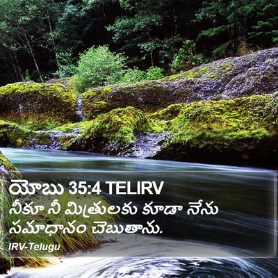యోబు 35:4 TELIRV Bible Verse Image