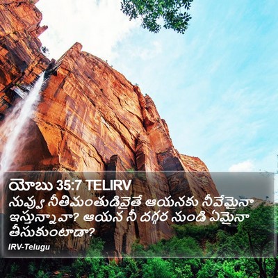 యోబు 35:7 TELIRV Bible Verse Image
