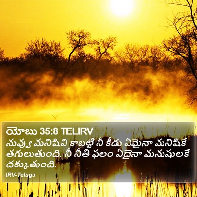 యోబు 35:8 TELIRV Bible Verse Image