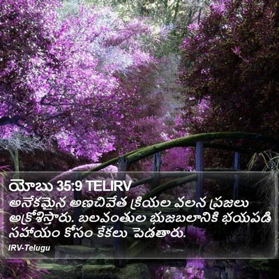 యోబు 35:9 TELIRV Bible Verse Image