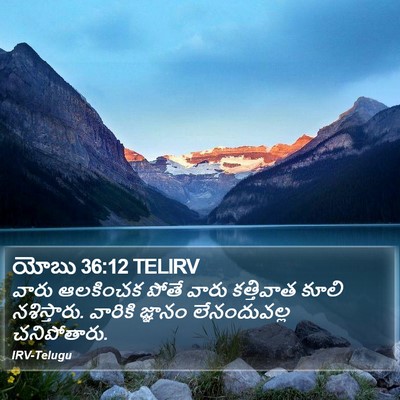 యోబు 36:12 TELIRV Bible Verse Image