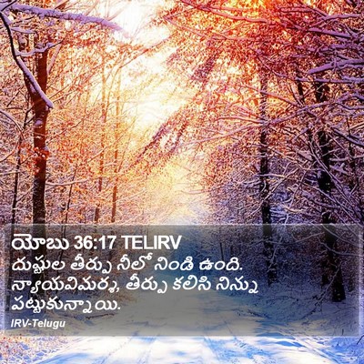 యోబు 36:17 TELIRV Bible Verse Image