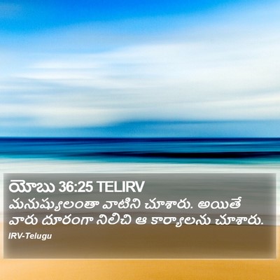 యోబు 36:25 TELIRV Bible Verse Image