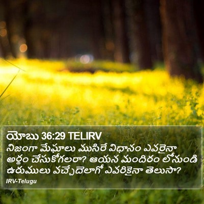 యోబు 36:29 TELIRV Bible Verse Image