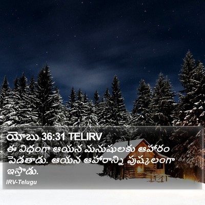 యోబు 36:31 TELIRV Bible Verse Image