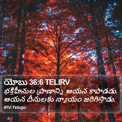 యోబు 36:6 TELIRV Bible Verse Image