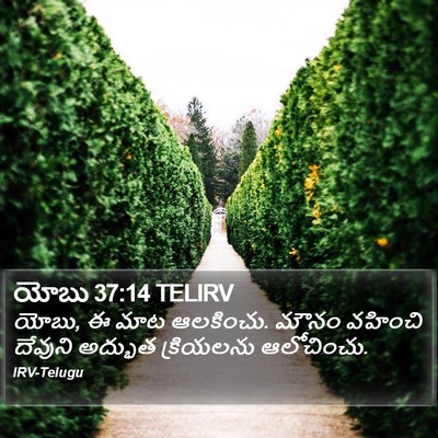 యోబు 37:14 TELIRV Bible Verse Image