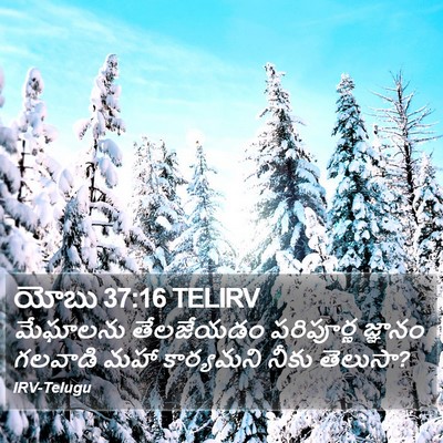 యోబు 37:16 TELIRV Bible Verse Image
