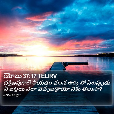 యోబు 37:17 TELIRV Bible Verse Image
