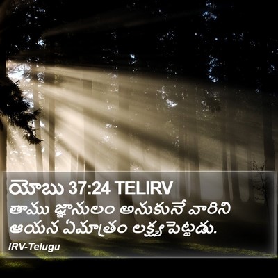 యోబు 37:24 TELIRV Bible Verse Image