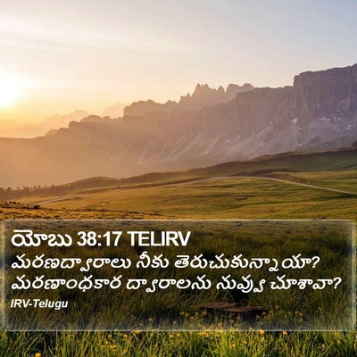 యోబు 38:17 TELIRV Bible Verse Image