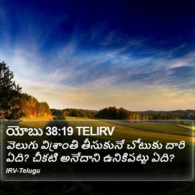 యోబు 38:19 TELIRV Bible Verse Image
