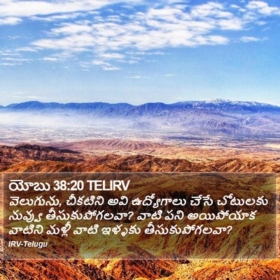 యోబు 38:20 TELIRV Bible Verse Image