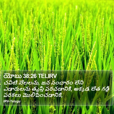 యోబు 38:26 TELIRV Bible Verse Image