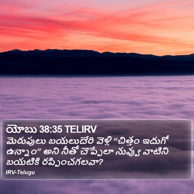 యోబు 38:35 TELIRV Bible Verse Image