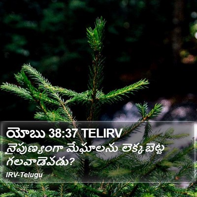 యోబు 38:37 TELIRV Bible Verse Image