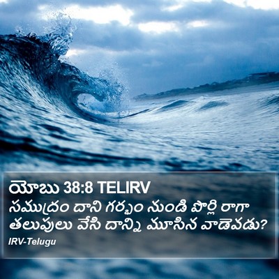 యోబు 38:8 TELIRV Bible Verse Image