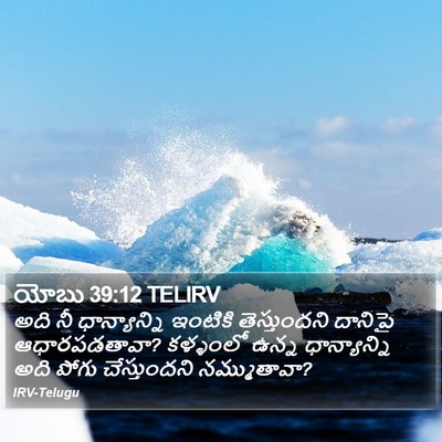 యోబు 39:12 TELIRV Bible Verse Image