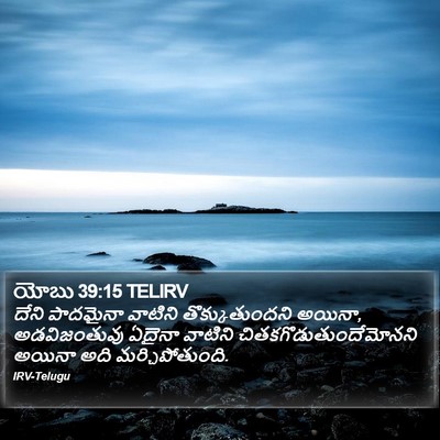 యోబు 39:15 TELIRV Bible Verse Image
