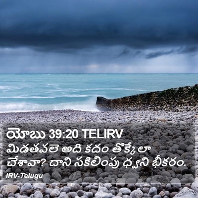 యోబు 39:20 TELIRV Bible Verse Image