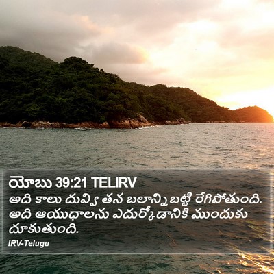 యోబు 39:21 TELIRV Bible Verse Image
