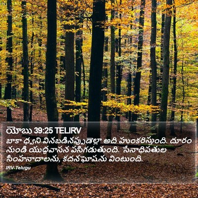 యోబు 39:25 TELIRV Bible Verse Image