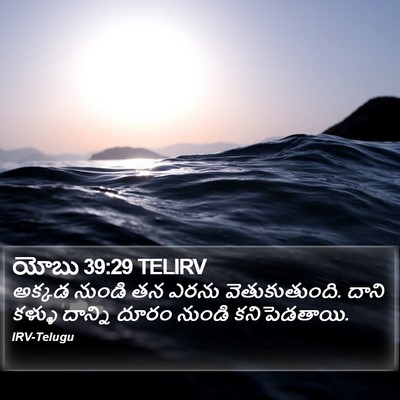 యోబు 39:29 TELIRV Bible Verse Image