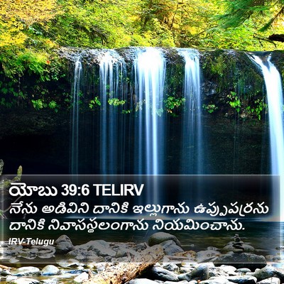 యోబు 39:6 TELIRV Bible Verse Image