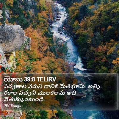 యోబు 39:8 TELIRV Bible Verse Image