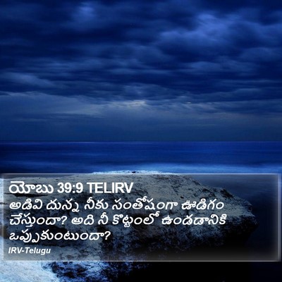 యోబు 39:9 TELIRV Bible Verse Image