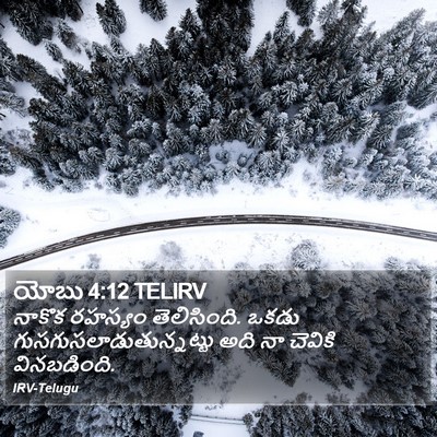 యోబు 4:12 TELIRV Bible Verse Image