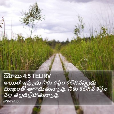 యోబు 4:5 TELIRV Bible Verse Image