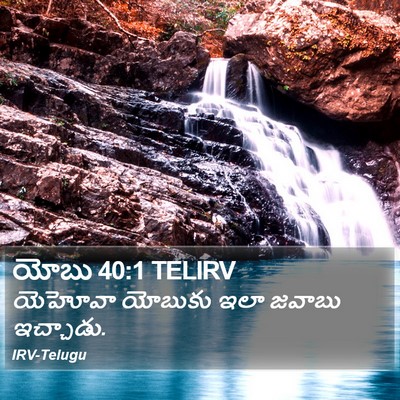 యోబు 40:1 TELIRV Bible Verse Image